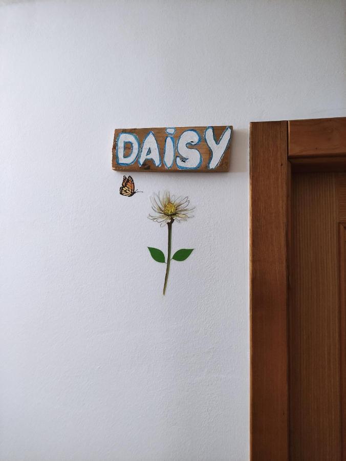 Zimao Garden House Otel Vila Pouca de Aguiar Dış mekan fotoğraf